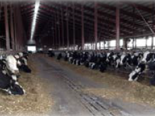 Screen shot 2013-11-17 at 2.58.59 PM