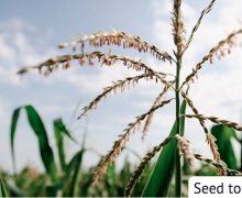 Screen shot 2013-12-07 at 2.15.38 PM