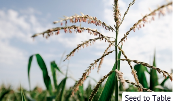 Screen shot 2013-12-07 at 2.15.38 PM