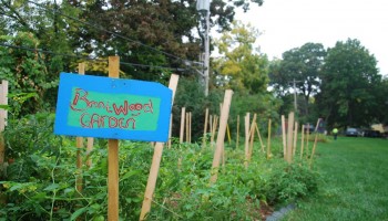 ai2h_idmOwiLV8MaI0tKUKgO3cLqfOWtea4aX10NEtk